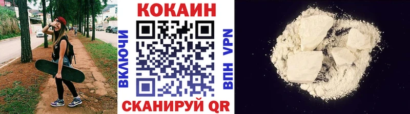 Cocaine FishScale  Купить закладки  Старая Русса 