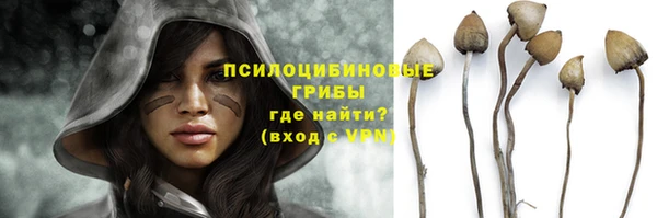 MDMA Premium VHQ Зеленокумск