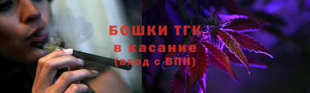 амф Зеленодольск