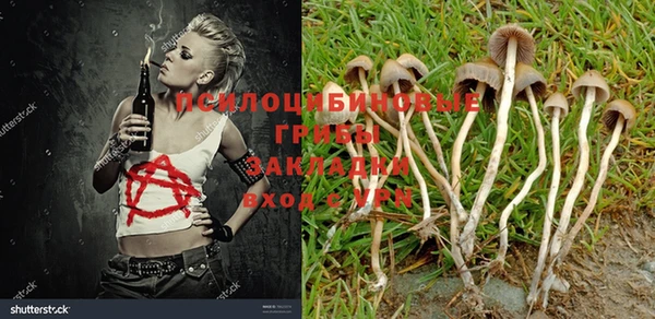 MDMA Premium VHQ Зеленокумск